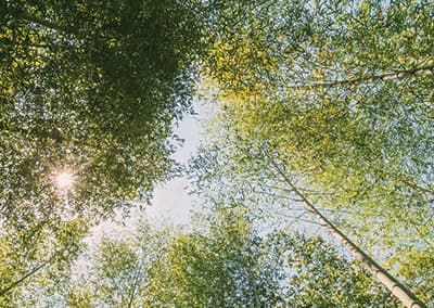 Ten Things God Instructs Us to Do When Trouble Comes